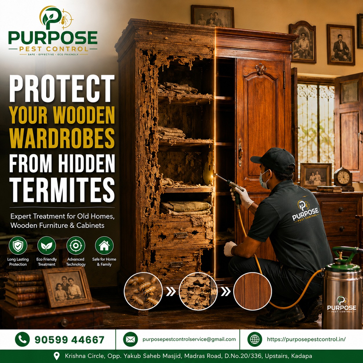 Purpose Pest Control – Latest Termite Control Update in Kadapa